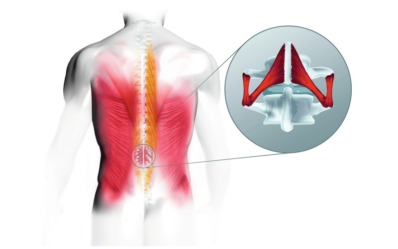 Стул мастера "Биосвинг" фото 4